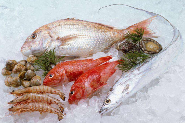 寧波進(jìn)口印尼鯛魚(yú)清關(guān)資料 寧波進(jìn)口印尼鯛魚(yú)清關(guān)資料