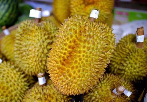 1570497415214932.jpg 榴蓮進口報關