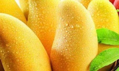 1571103073623975.jpg 泰國芒果進口報關