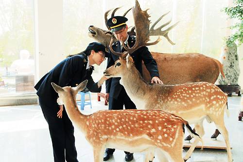 1571989743179791.jpg a5g4vx5924127260323.jpg