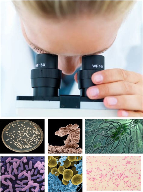 1576028392564385.jpg 上海進口水產品清關