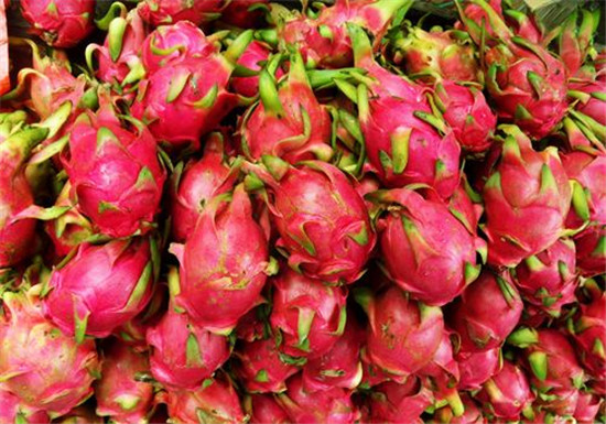 1584063029186450.jpg 越南火龍果進口報關清關