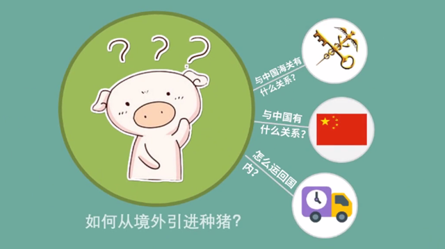 1585790853440189.png 豬肉進口清關