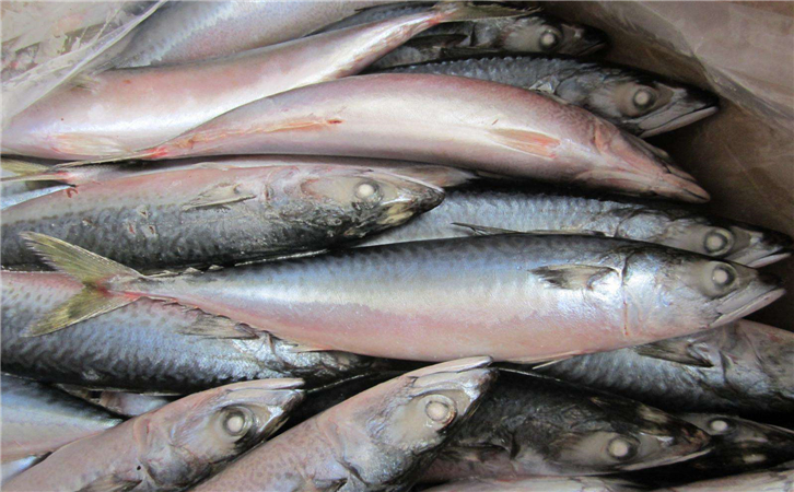 俄羅斯水產品進口報關代理公司 俄羅斯水產品進口報關