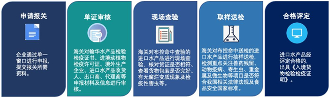 1591237745110569.jpg 進口水產品報關