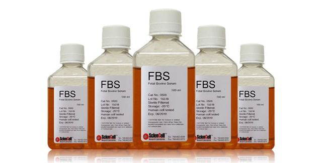 1595468629645545.png 胎牛血清進口報關