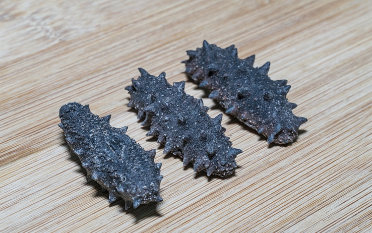 1597885652385512.jpg 仿刺參進(jìn)口報關(guān)