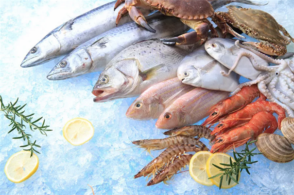 廣州海鮮進(jìn)口報(bào)關(guān)進(jìn)口商所需資質(zhì)以及流程 廣州海鮮進(jìn)口報(bào)關(guān)