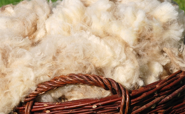 1607070552466840.jpg VCG41157483668_副本.jpg