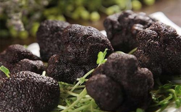 一般貿易進口松露清關代理的流程 進口松露清關代理