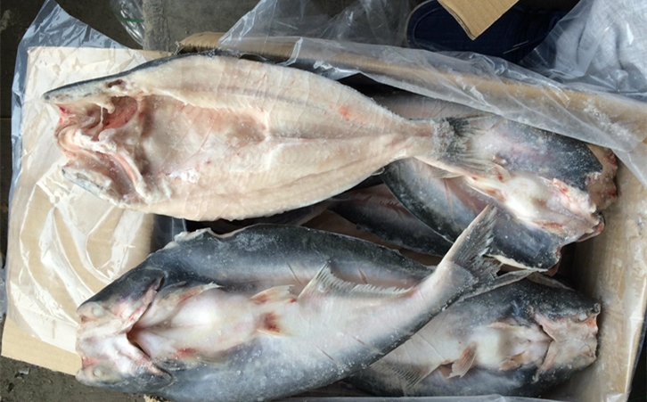 進(jìn)口巴沙魚(yú)清關(guān)代理 進(jìn)口巴沙魚(yú)清關(guān)代理一點(diǎn)都不難,只要你準(zhǔn)備好這些資料