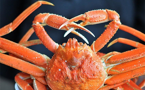 冷凍雪蟹進口報關(guān)代理公司如何成功報關(guān)冰凍雪蟹 冷凍雪蟹進口報關(guān)代理公司