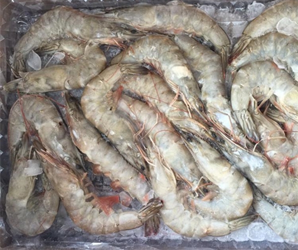 冷凍長額蝦進(jìn)口報關(guān)注意事項有哪些 冷凍長額蝦進(jìn)口報關(guān)