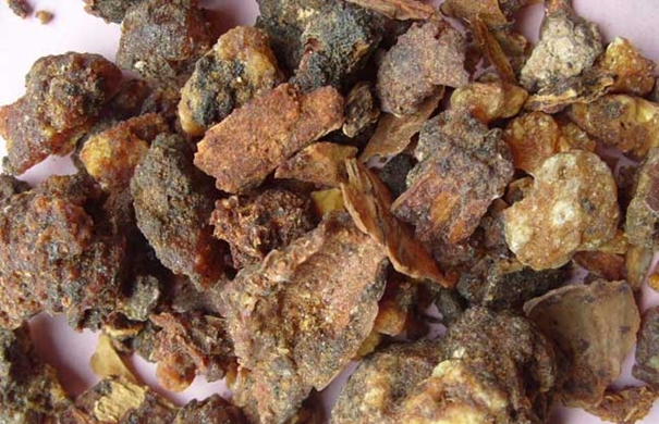 1624009666733965.jpg 沒藥進(jìn)口報關(guān)代理_副本.jpg