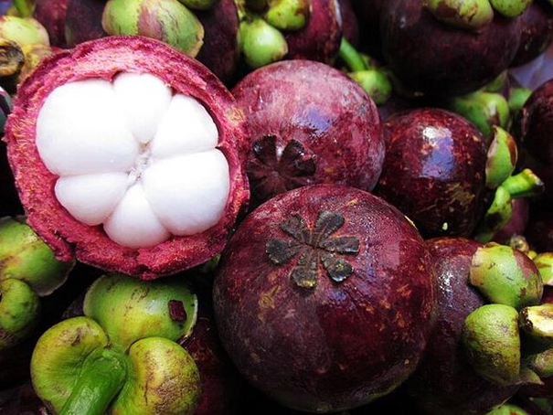 1628074967455682.jpg 洋山港進口山竹清關(guān)公司_副本.jpg