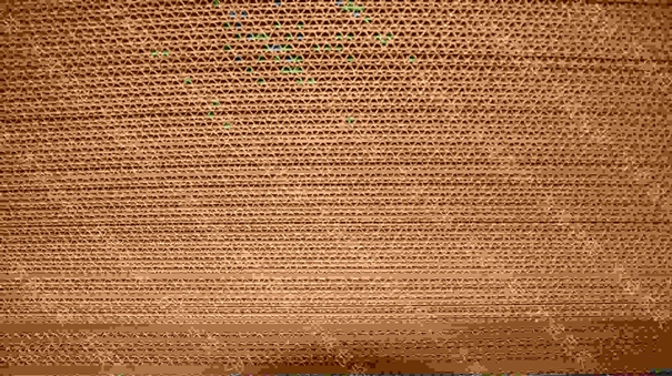 1628162611897122.jpg 瓦楞紙進(jìn)口報(bào)關(guān)代理_副本.jpg