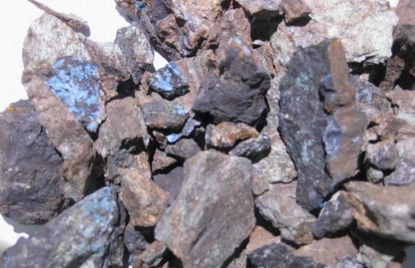 1630059273457222.jpg 上海進口礦產品清關_副本.jpg