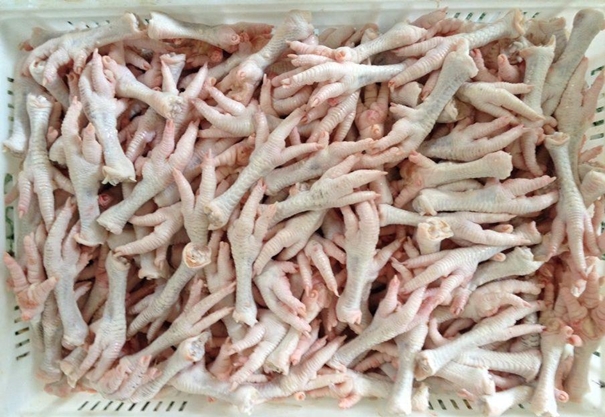 1630295326691201.jpg 雞爪清關進口_副本.jpg