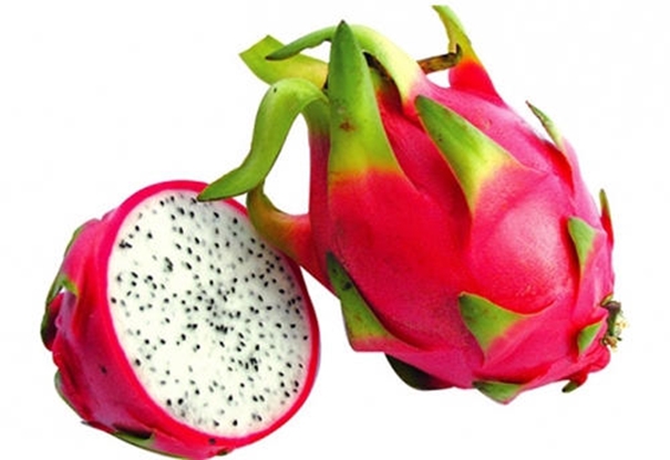 1631527365245132.jpg 火龍果進口清關代理_副本.jpg