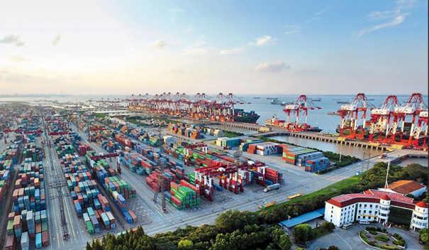 1637837124726077.png 上海外高橋報關代理公司.png