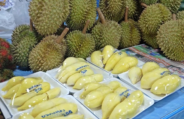 1646726602411396.jpg 進(jìn)口泰國新鮮榴蓮報(bào)關(guān)_副本.jpg