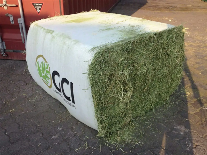 1653037711510890.png 天津飼料苜蓿草報關行.png