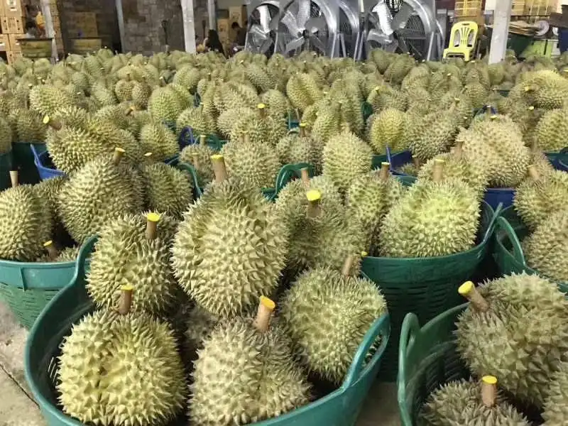 1654684438321418.png 泰國榴蓮進口關(guān)稅.png