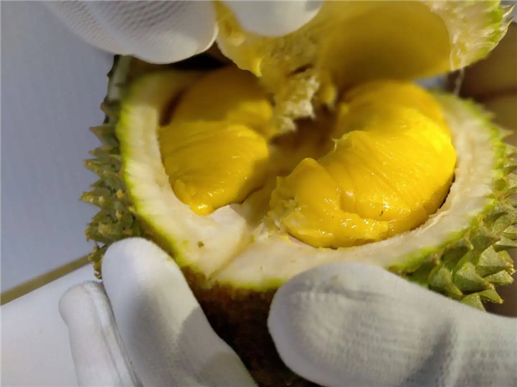 1654767037474673.png 進口馬來西亞貓山王榴蓮清關(guān).png