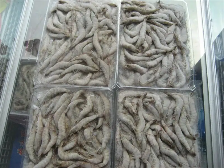 1655116084227601.png 天津冷凍產(chǎn)品進(jìn)口報(bào)關(guān)公司.png