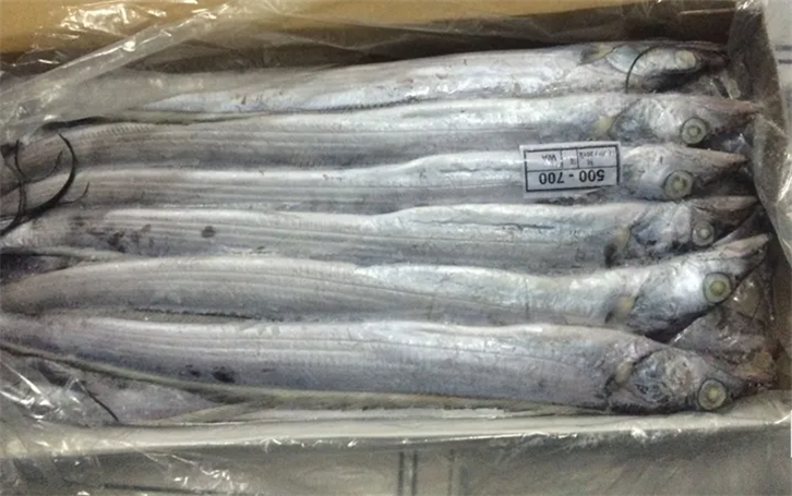 1655375207109224.png 上海冷凍帶魚進(jìn)口報關(guān)公司.png