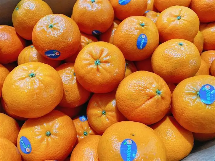 1655891567523973.png 進(jìn)口巴基斯坦柑橘報(bào)關(guān)公司.png