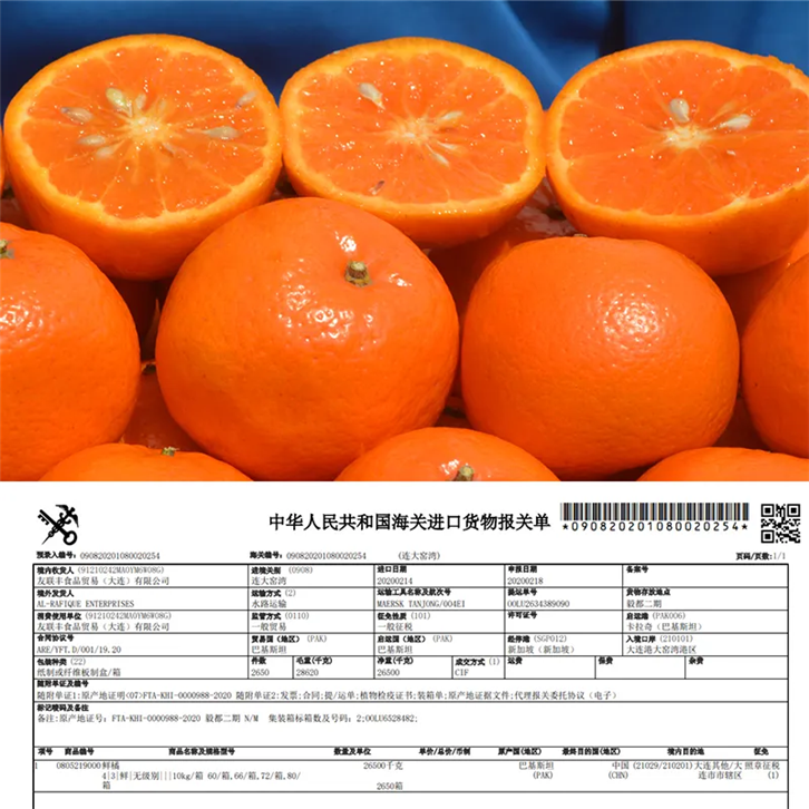 1656408778768531.png 進口巴基斯坦柑橘報關(guān)公司 (2).png