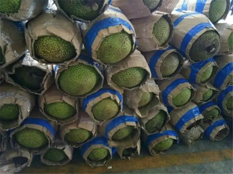 1658743197397459.png 進口越南菠蘿蜜清關.png