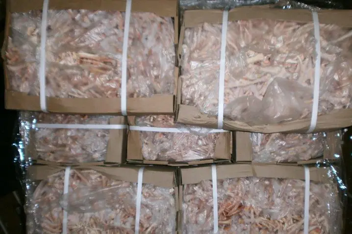 1660124911157233.png 天津港巴西冷凍雞爪報關.png