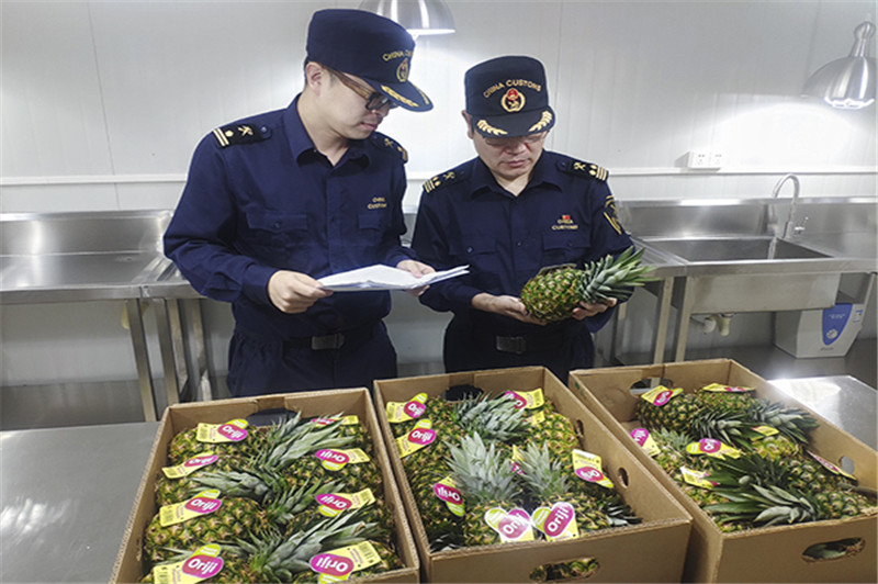 1660815821193250.jpg 進口印度尼西亞鮮菠蘿報關.jpg