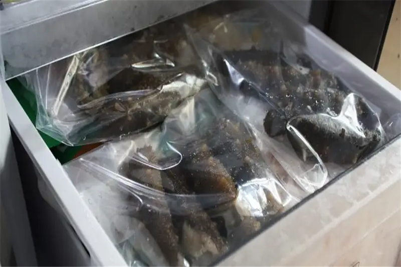 1665399290692941.png 印尼海參進(jìn)口報(bào)關(guān)代理.png