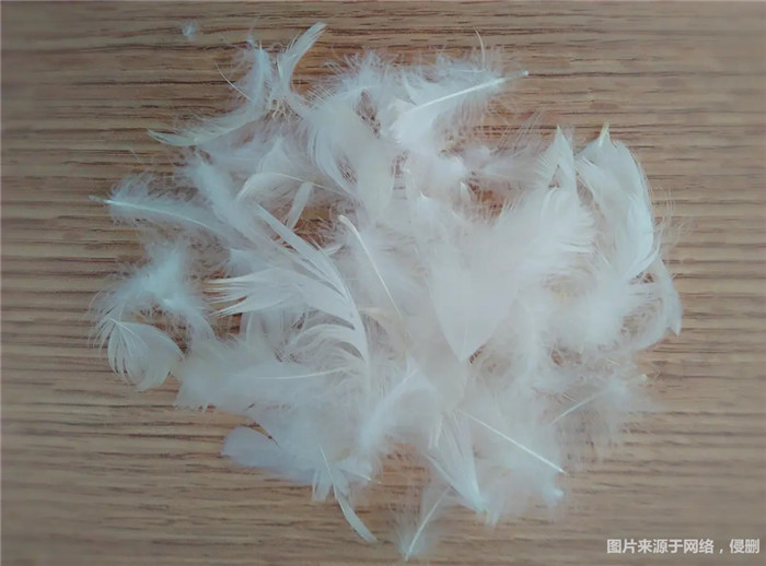 1670322312967922.jpg 水洗白鴨毛進口報關(guān).jpg