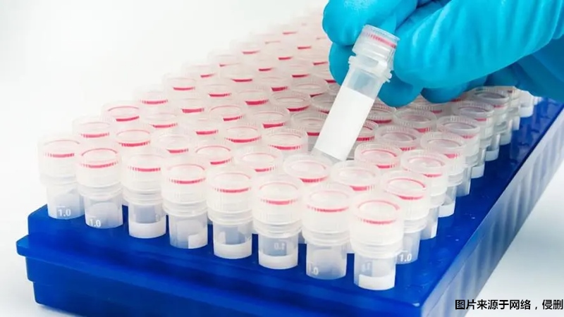 1680091025185859.jpg 上海進口生物試劑報關流程.jpg