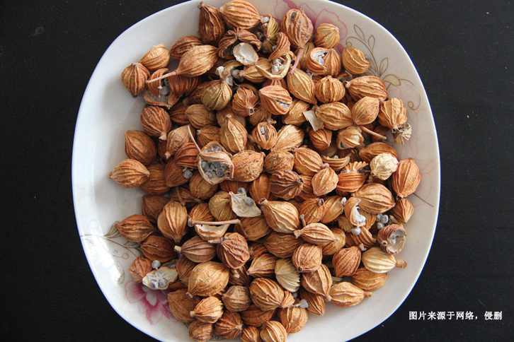 德國豆蔻進(jìn)口報(bào)關(guān)流程 德國豆蔻進(jìn)口報(bào)關(guān)流程