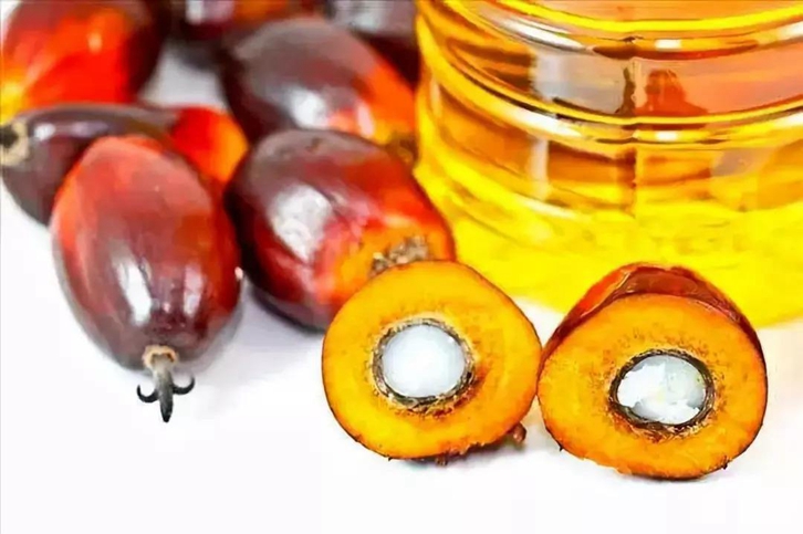 進口印尼棕櫚油報關(guān)代理 進口印尼棕櫚油報關(guān)代理