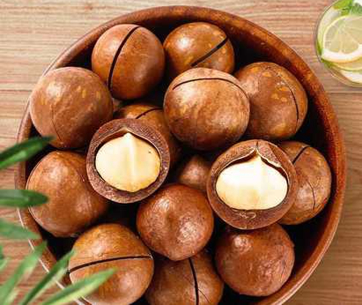 南非夏威夷果進(jìn)口報(bào)關(guān) 南非夏威夷果進(jìn)口報(bào)關(guān)