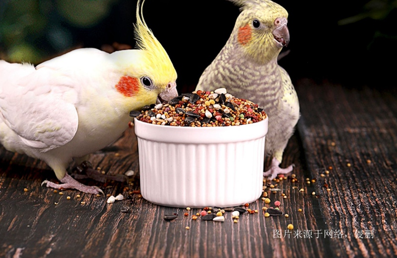 進(jìn)口加拿大寵物糧食清關(guān)費(fèi)用 進(jìn)口加拿大寵物糧食清關(guān)費(fèi)用