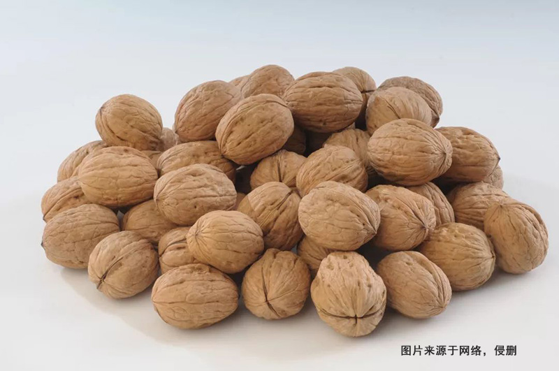 天津核桃進(jìn)口清關(guān)費(fèi)用 天津核桃進(jìn)口清關(guān)費(fèi)用